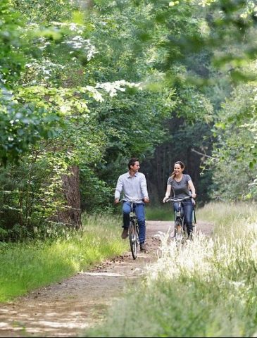 Plan de gestion écologique 2030